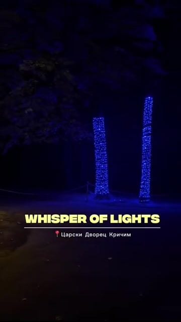 ivadimitrova 9:16 • UGC, Reels визуализация