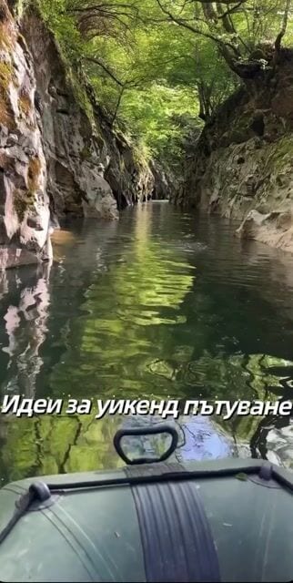 beatris Reels визуализация